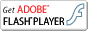 Scarica gratuitamente Adobe Flash Player