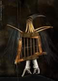 Daniele Cascone - Bird