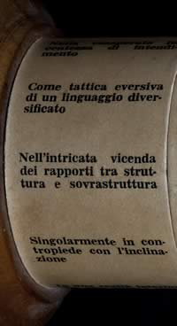 Eidocalumus particolare