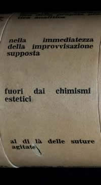 Eidocalumus particolare