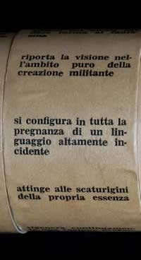 Eidocalumus particolare