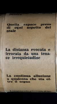 Eidocalumus particolare