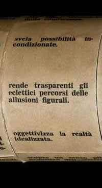 Eidocalumus particolare
