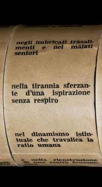 Eidocalumus particolare