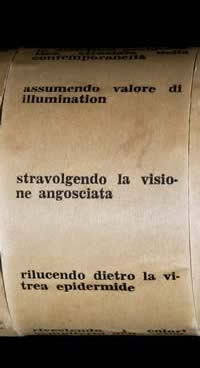 Eidocalumus particolare